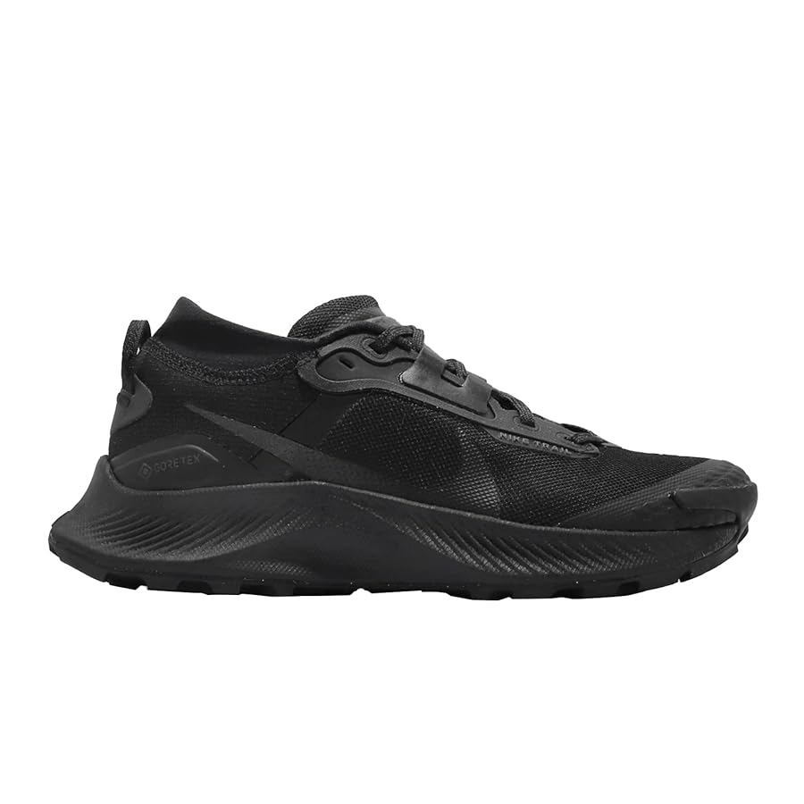 NIKE WMNS PEGASUS TRAIL 3 GTX ペガサス トレイル3 ペガサストレイルゴアテックス☆Nike Pegasus Trail 3 GORE-TEX
